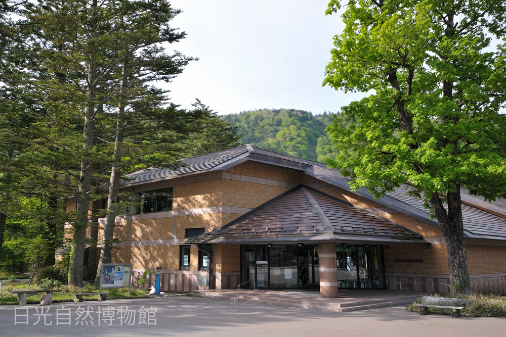 日光自然博物館の外観