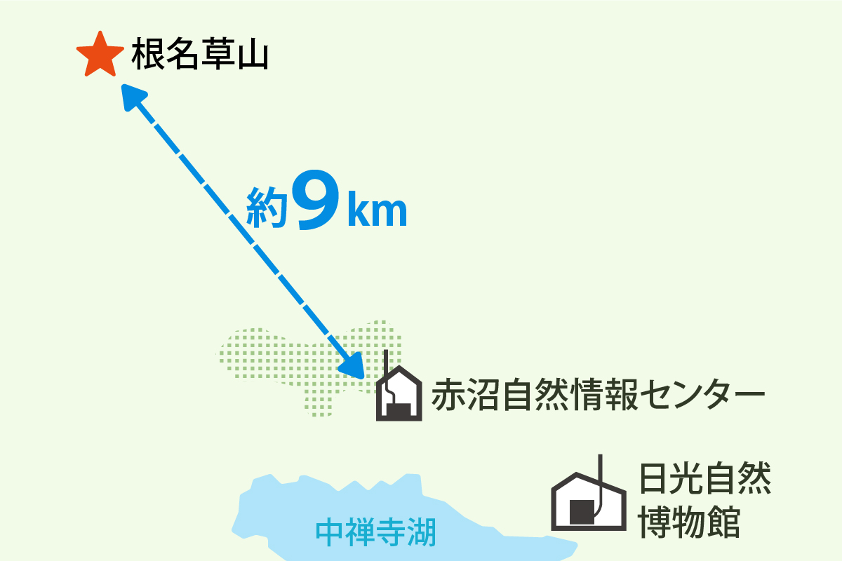 根名草山の位置