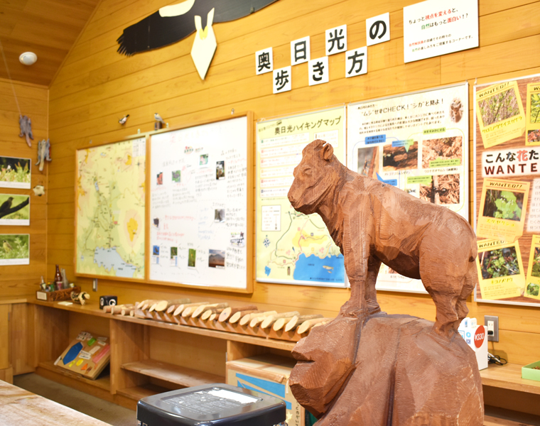 小田代原