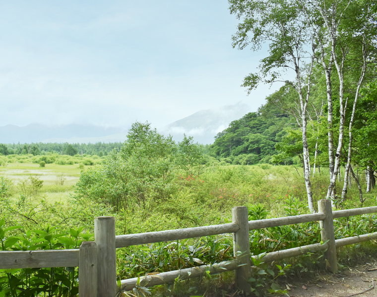 赤沼自然情報センターの展示